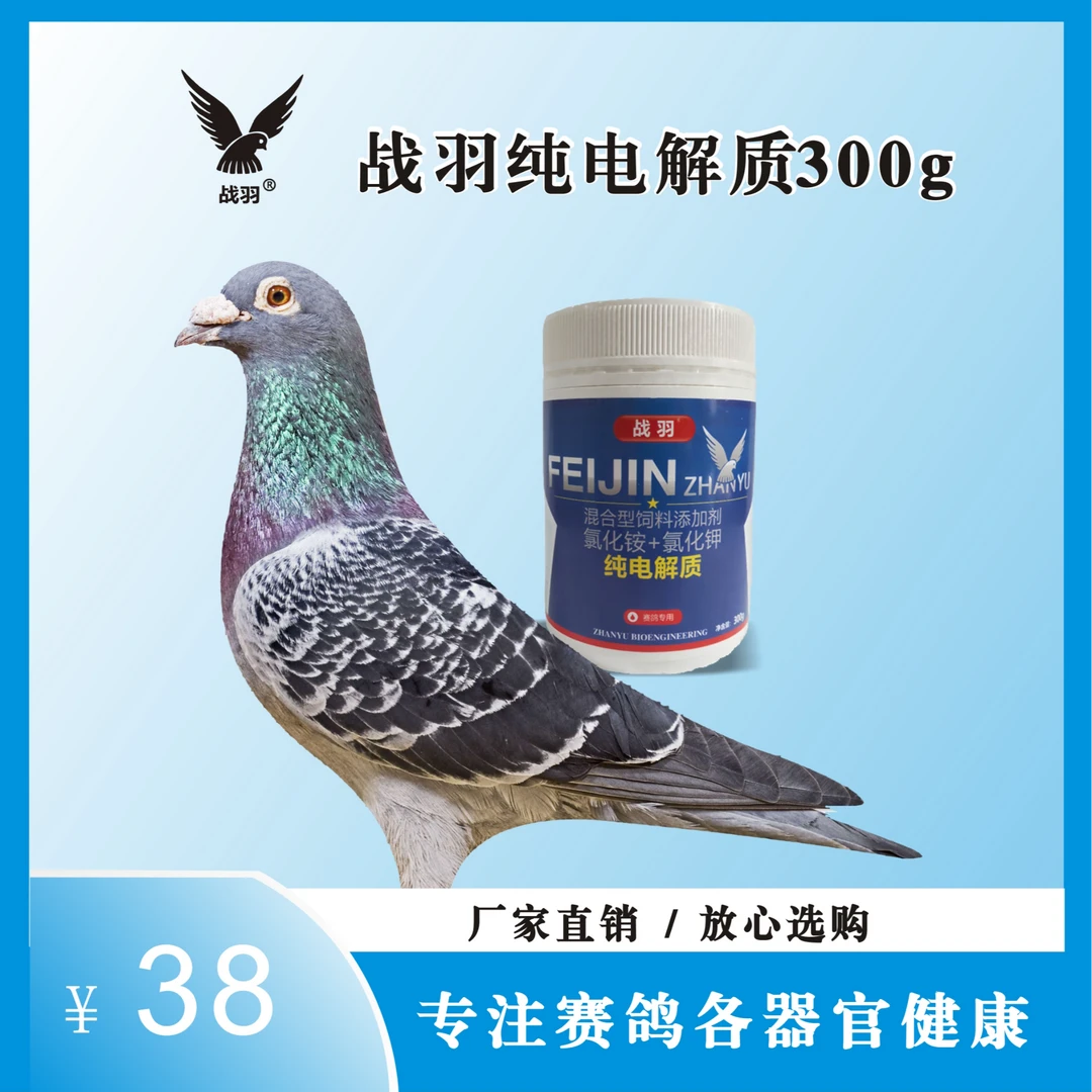 战羽 纯电解质300g/罐 信鸽用品
