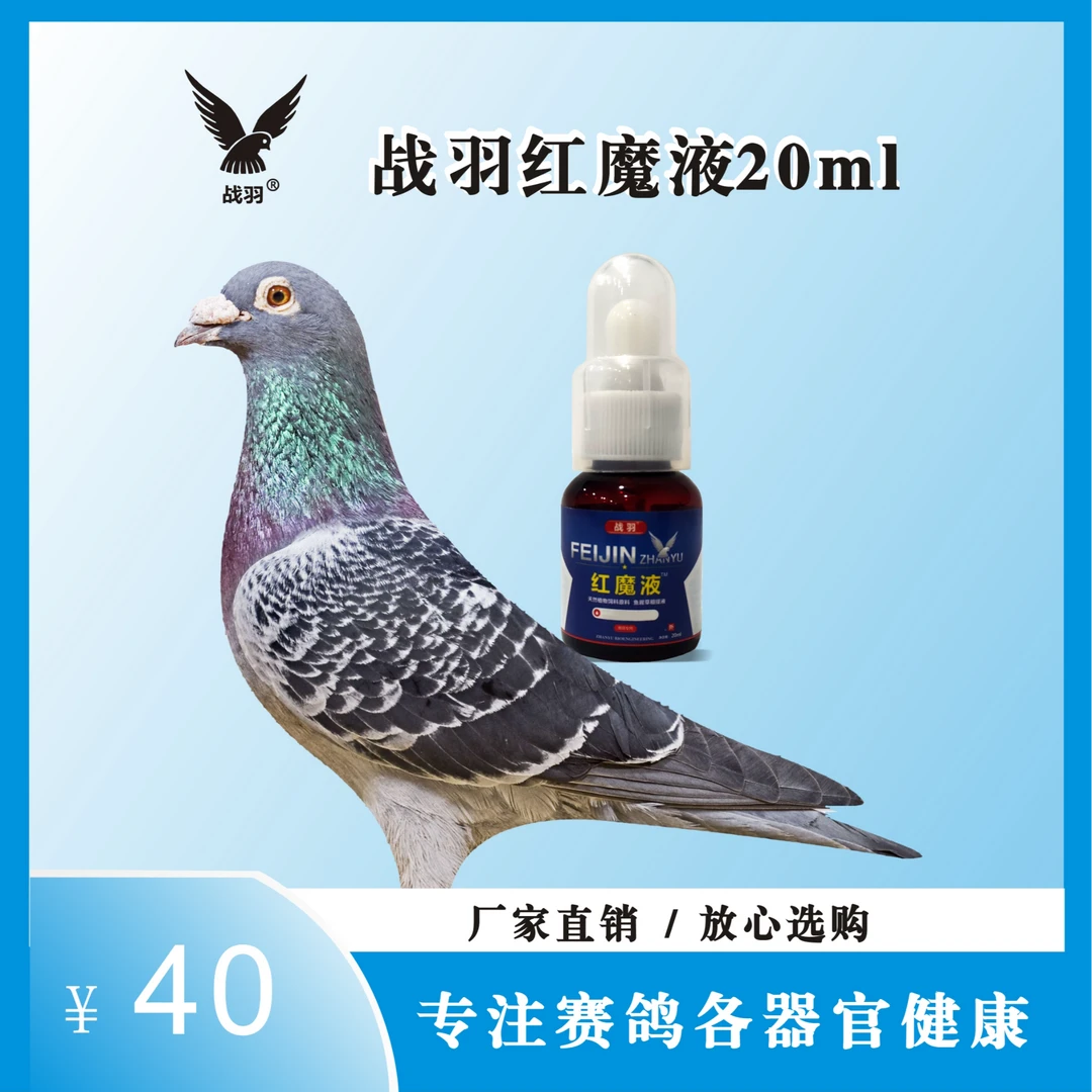 战羽 红魔液20ml/瓶  信鸽用品