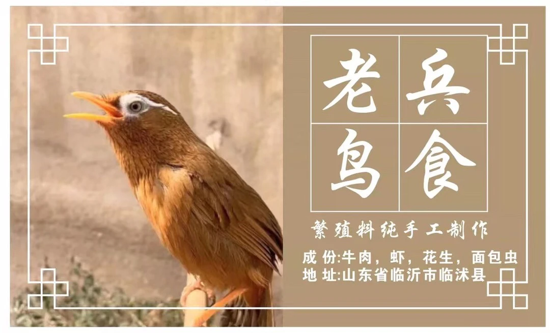 画眉新款提醒壮膘食