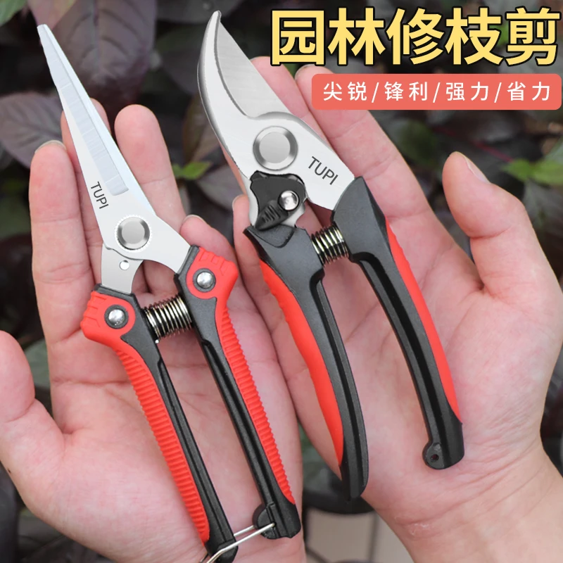 工具嫁接剪子大号修枝剪修剪果剪多功能家用原装园艺剪刀家庭