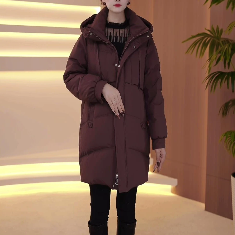 冬季新款女士休闲显瘦保暖韩版收腰连帽百搭白鸭绒时尚羽绒服