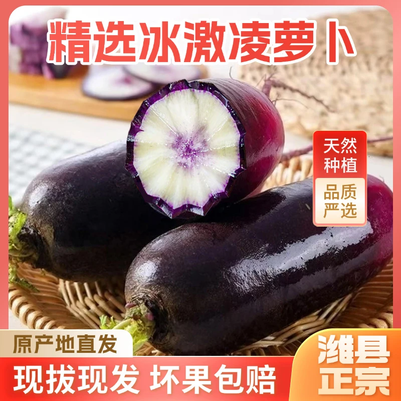 纯甜不辣冰激凌水果萝卜生吃脆甜多汁山东潍坊冰糖心原产地直发