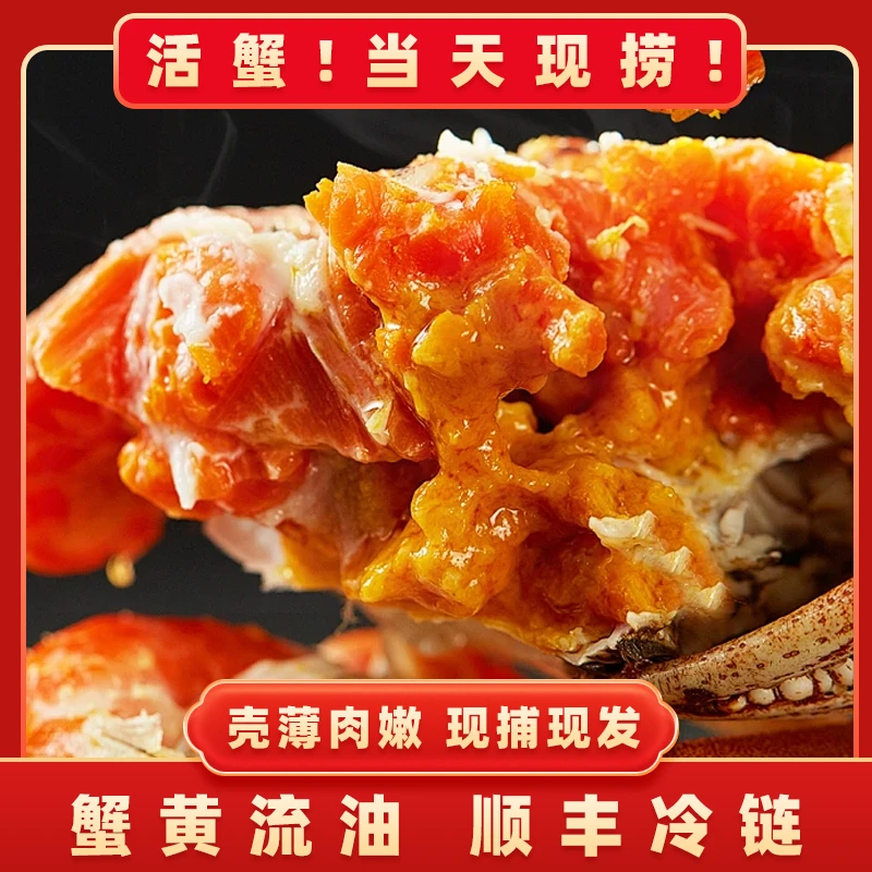 【活蟹】公4只（5-4.7两）母4只（4-3.7两）苏州精品大闸蟹新鲜饱满礼盒