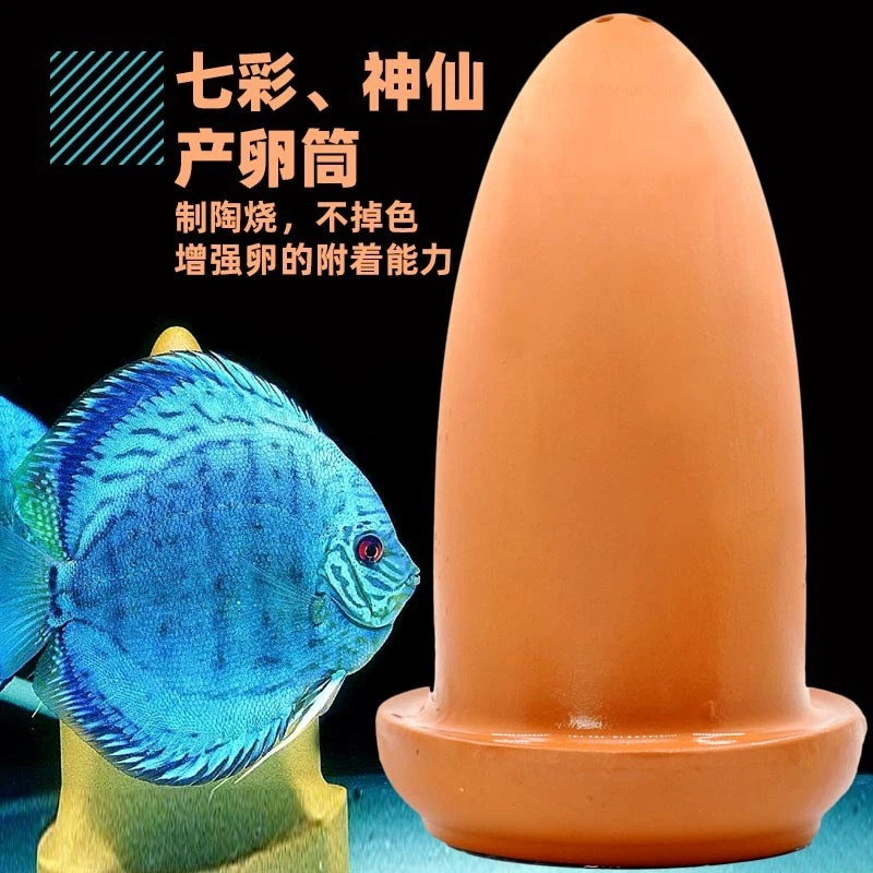 七彩神仙产卵桶神奇宝贝产卵器繁殖罐神仙鱼陶罐繁殖孵化鱼孵化器