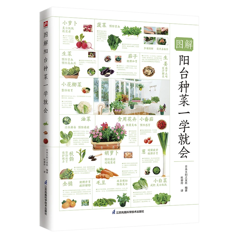 图解阳台种菜一学就会 蔬菜栽培种间苗施肥除虫收获蔬菜种菜书籍