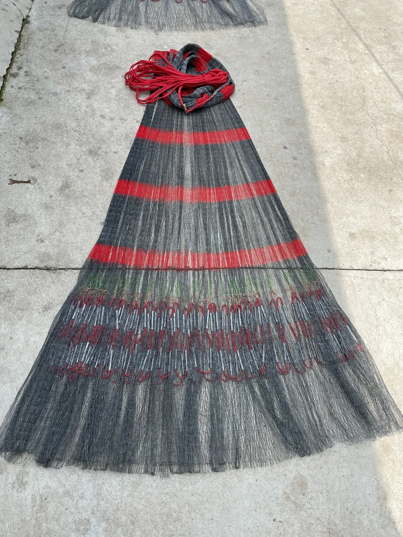 斑点大力马线灰红段彩，一指半三米八到四米