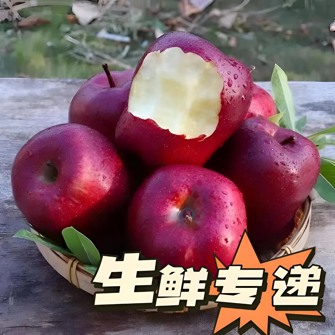 天水花牛山地粉苹果新鲜多汁自然采摘蛇果脆面两吃营养脆甜5-10斤