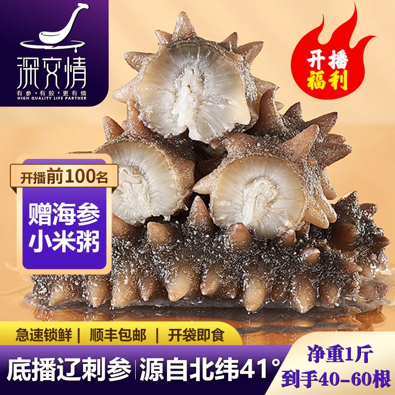 深交情海参即食底播海参即食刺参鲜活淡干海渗辽参干货野生海鲜