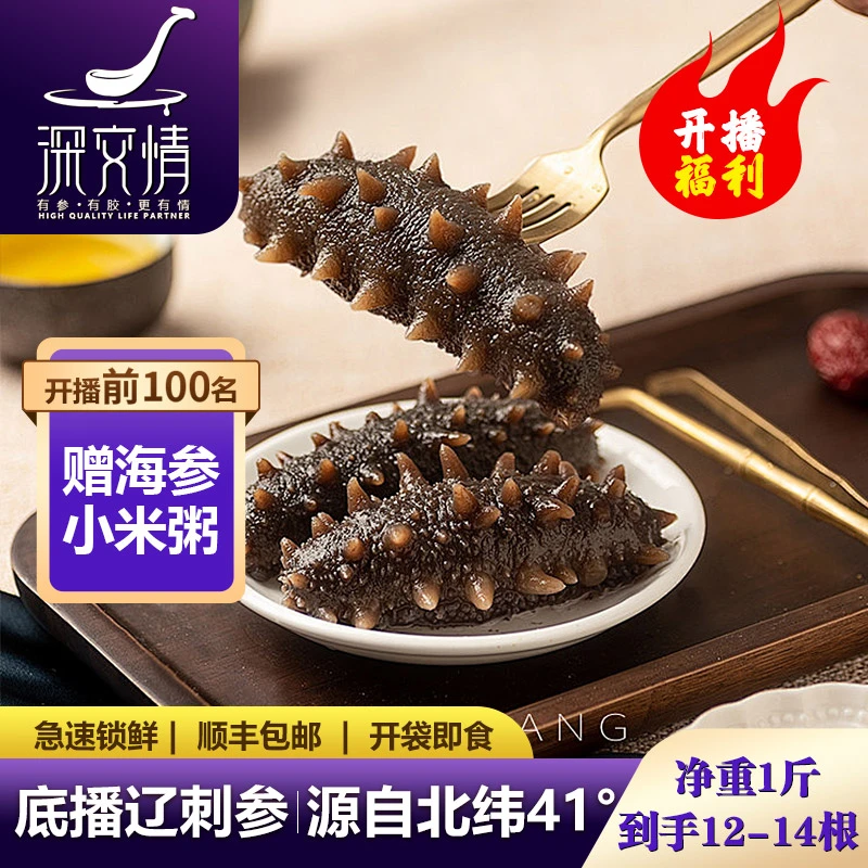 深交情海参即食辽宁海参鲜食刺参鲜活底播海渗辽参鲜食野生海鲜