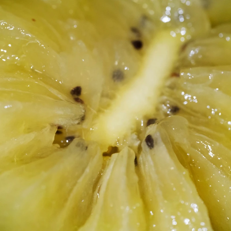 【售罄】黄心奇异果 香甜多汁 营养富含vc小孩最爱 果园新鲜采摘