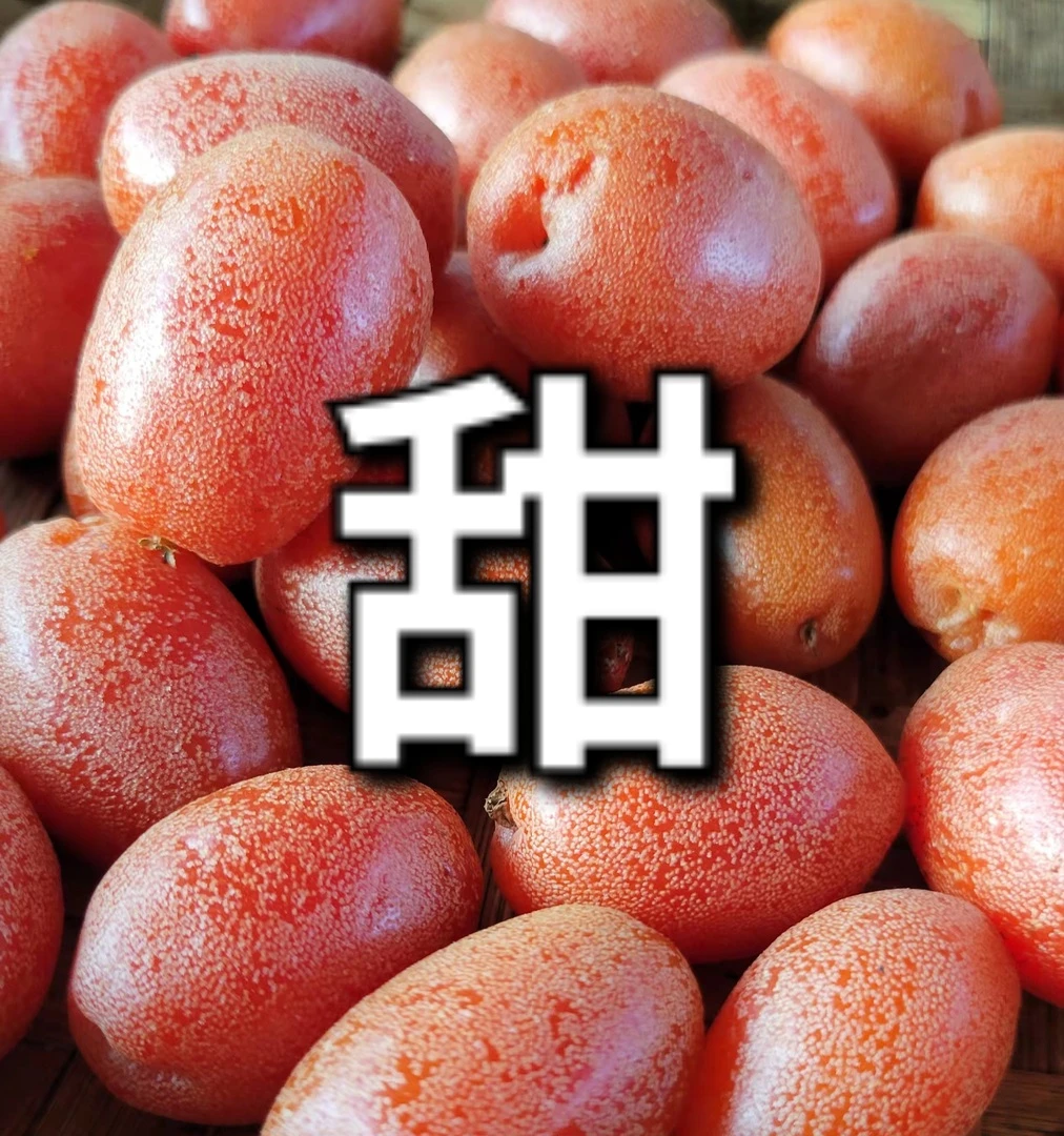 甜羊奶果 木须子 孕妇水果 云南产地直发 现摘现发 顺丰包邮