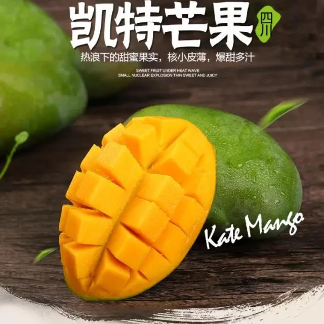 【攀枝花凯特芒果】净重4.5斤/8.5斤【绿色食品】农场直发