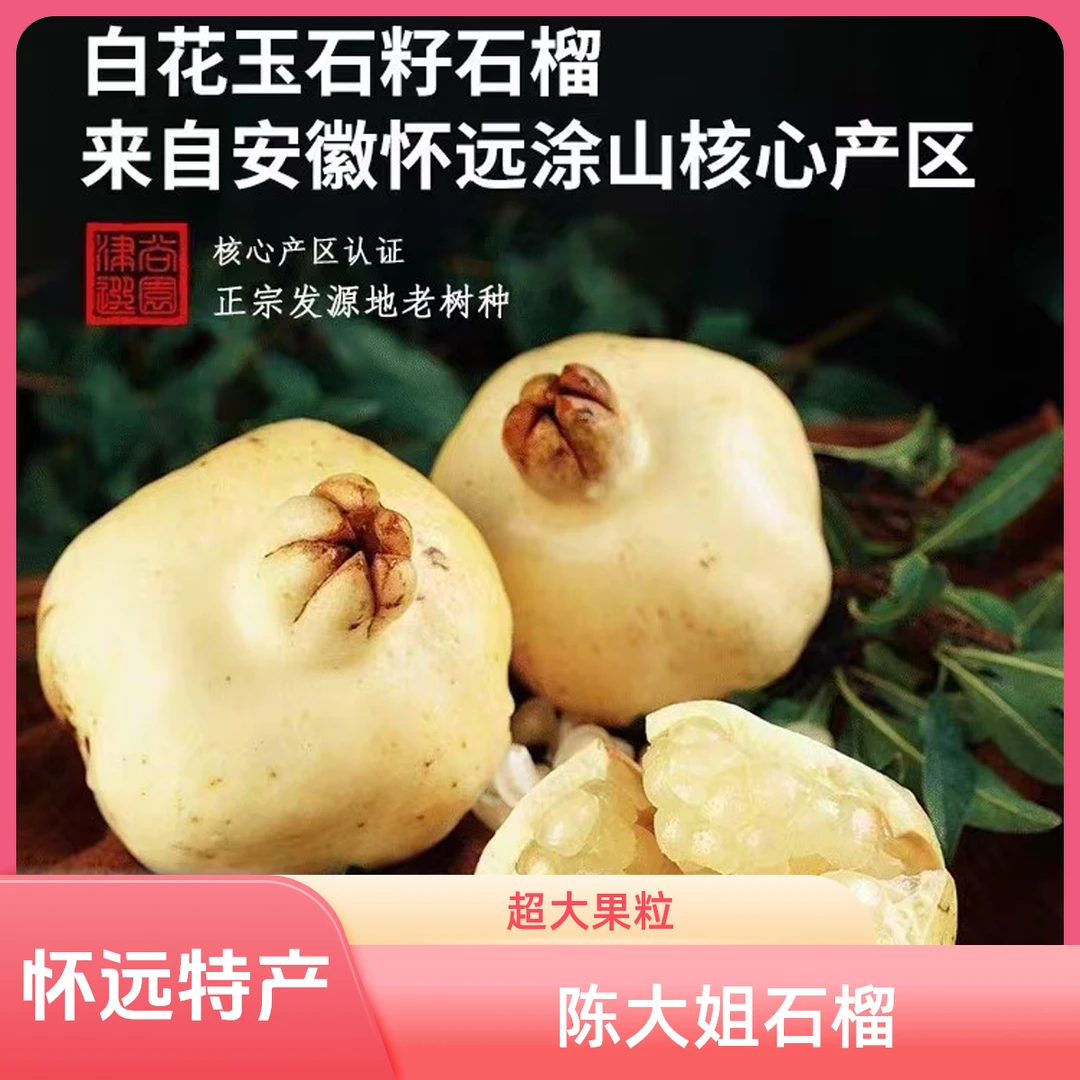 陈大姐石榴正宗怀远特产新鲜采摘白花玉石籽500克以上超大果王