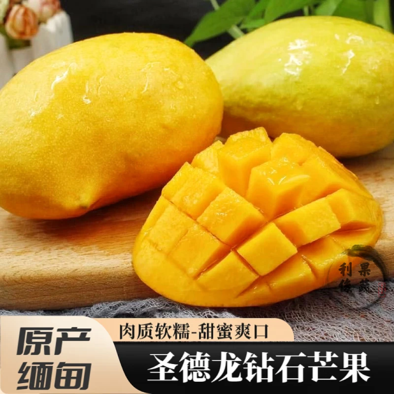 云南缅甸圣德龙芒果钻石盛德隆鹰嘴小鸡芒果保山特产新鲜水果