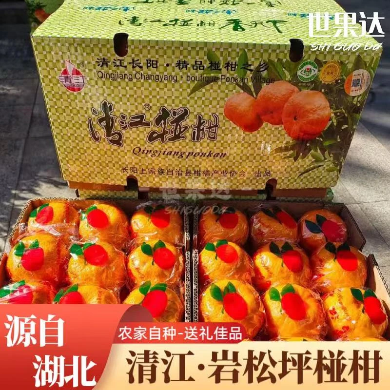 正宗湖北清江岩松坪椪柑长阳碰柑宜昌特产新鲜水果整箱礼盒年货