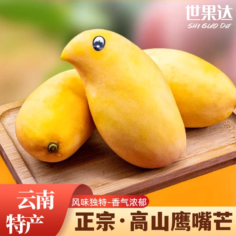 云南高山鹰嘴芒果缅甸钻石圣德龙小鸡芒怒江保山特产新鲜水果礼盒