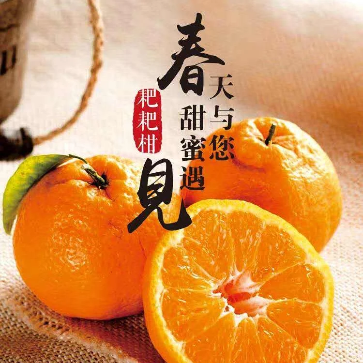 【顺丰快递】春见耙耙柑新鲜多汁香甜无籽皮薄细嫩果粒甜蜜5/8斤