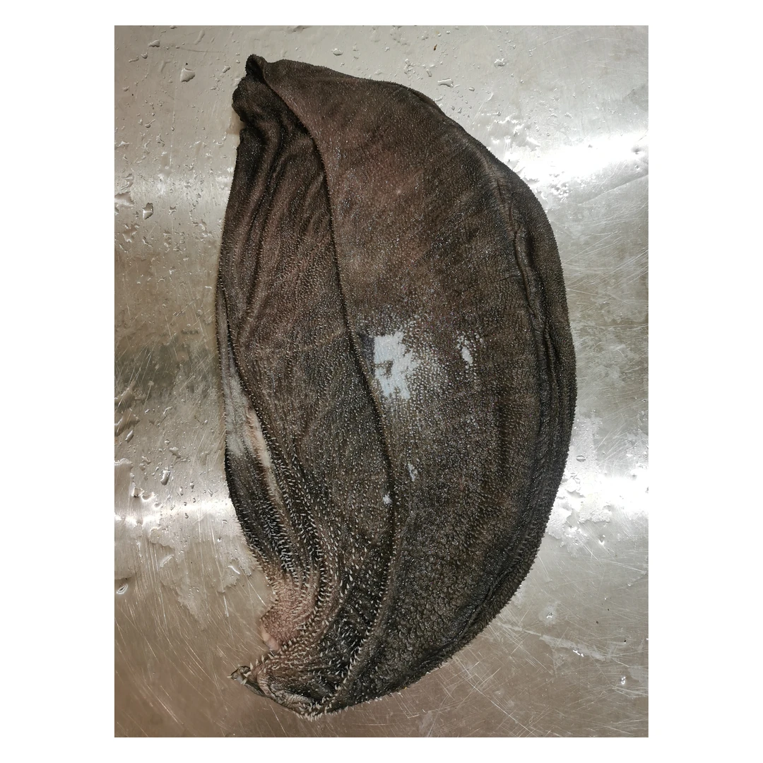【底板带油西皮毛肚】西皮残次鲜毛肚,介意勿拍 价格优惠 鲜牛百叶