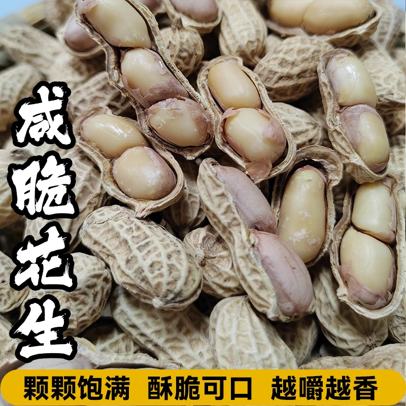 2024年新花生忠信花生咸脆味口感农家白肉花生开袋即食下酒零食