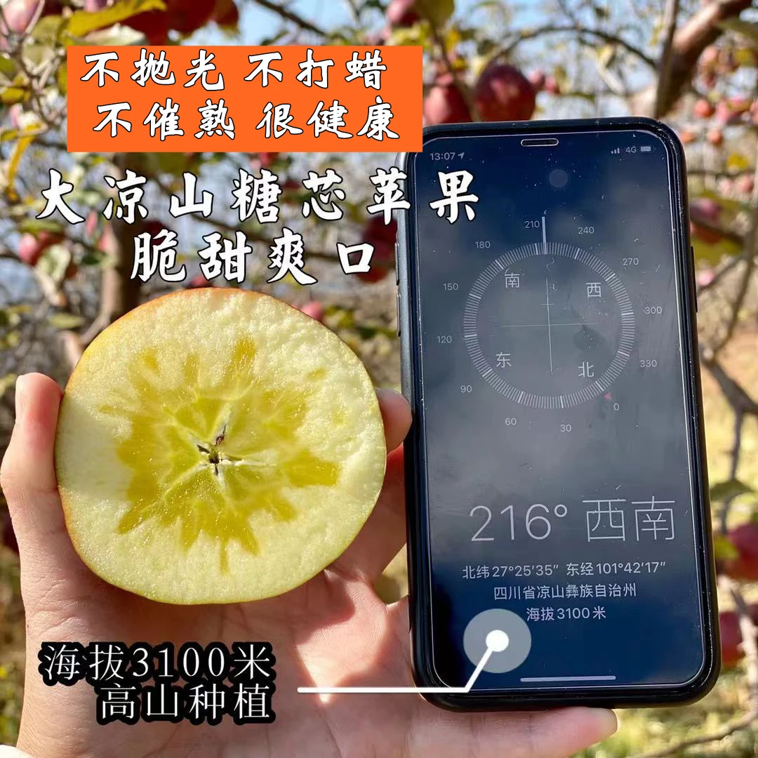 【顺丰快递】正宗大凉山糖心丑苹果 保证糖心率 5斤/8斤净重