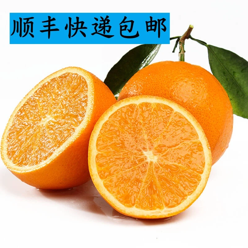 【玖月专属顺丰快递】正宗江西赣南脐橙香甜多汁现摘4.5/9斤包邮