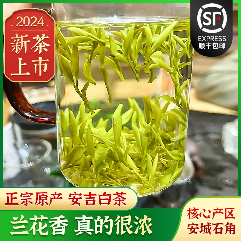 2024高山安吉白茶明前茶叶绿茶送礼佳品兰花香自己喝口粮茶