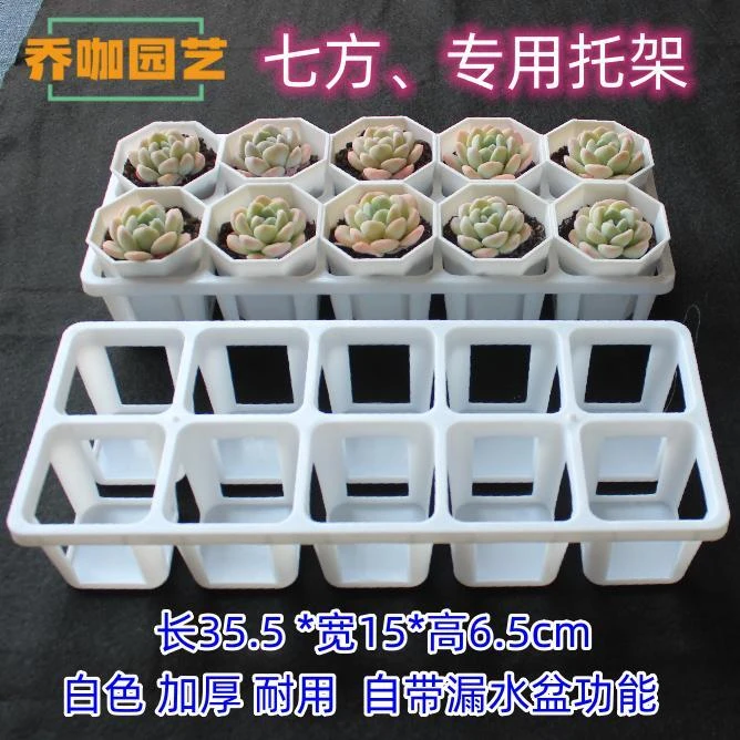 白色七方托架 多肉圆盆托架塑料托架育苗托架24孔格托架美观简约