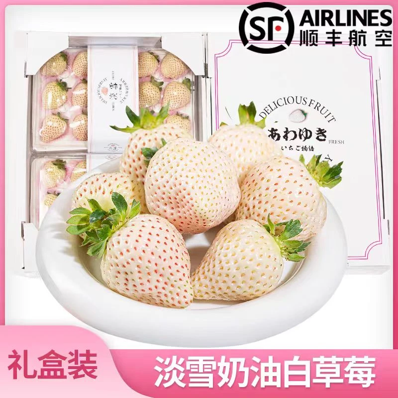 【顺丰包邮】淡雪白草莓白雪公主白色奶油草莓新鲜现摘孕妇水果送礼