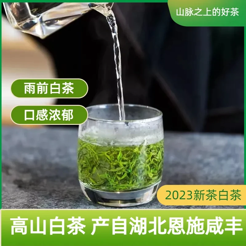 恩施咸丰白茶高山白茶奶白茶2023新茶星斗白茶雨前白茶罐装50克