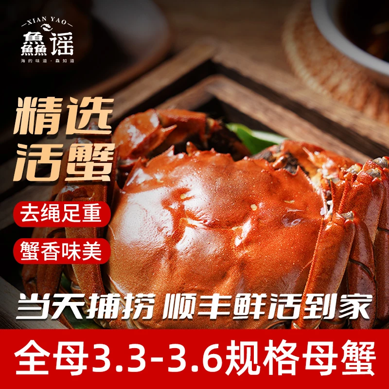 【活蟹】6只母蟹送2只3.6-3.3两精品全母大闸蟹顺丰包邮