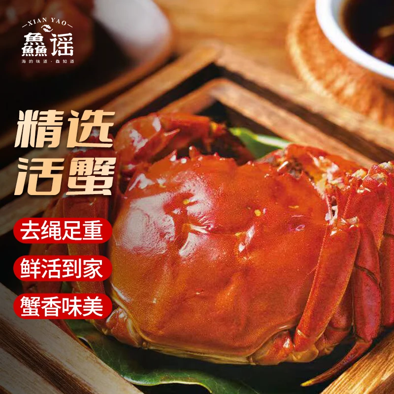 【活蟹】鱻谣大闸蟹公3.8-3.5两 母2.8-2.5两10只装8只装顺丰