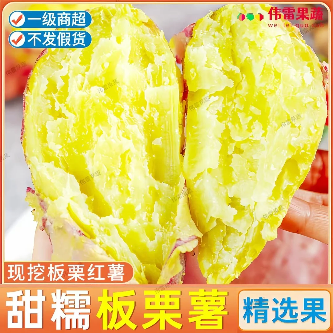 陕西正宗板栗红薯3斤9斤新鲜现挖干面粉甜包邮