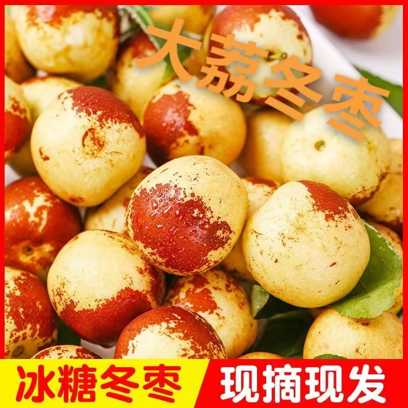 陕西大荔冬枣脆甜爽口新鲜水果现摘现发2斤5斤包邮