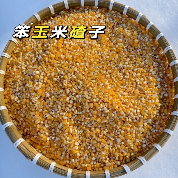 2024自家东北大碴玉米笨大碴子新碴子