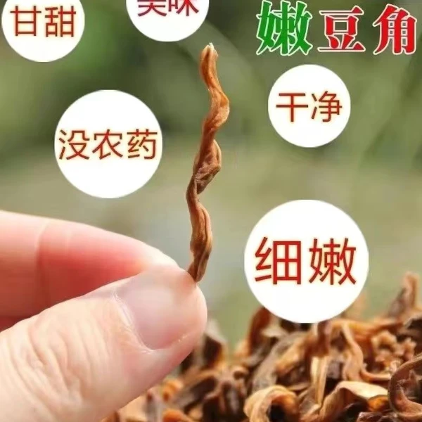 粤北农家嫩豆角干