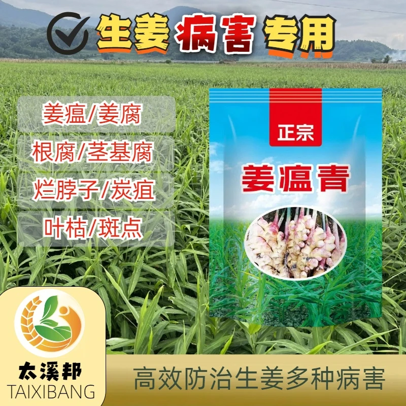 -正宗姜瘟青太溪邦配方种植生姜专用适用防治姜瘟根腐炭疽