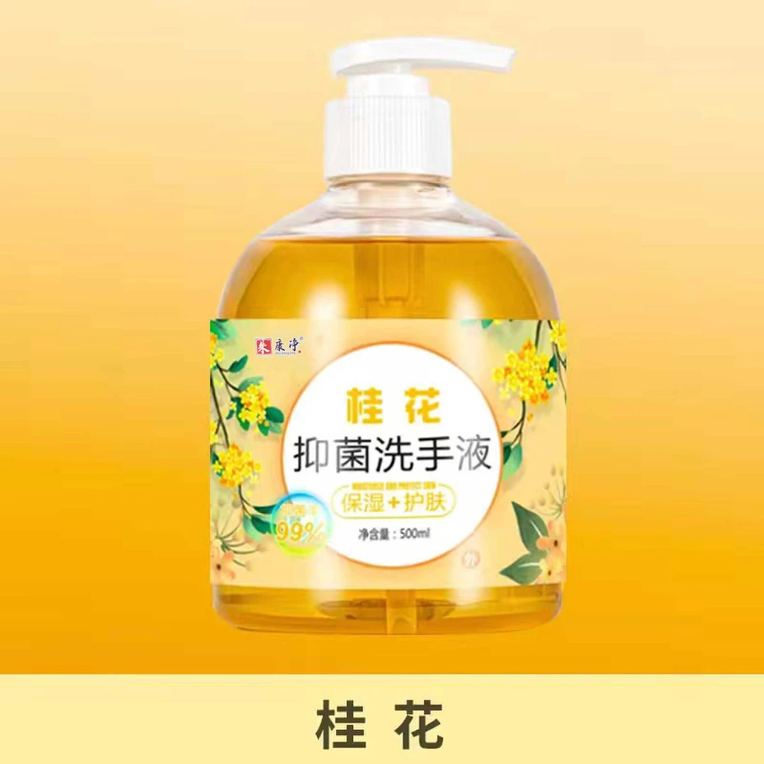 抑菌消毒洗手液家庭装清香型按压瓶植物花香儿童学生孕妇可用杀菌