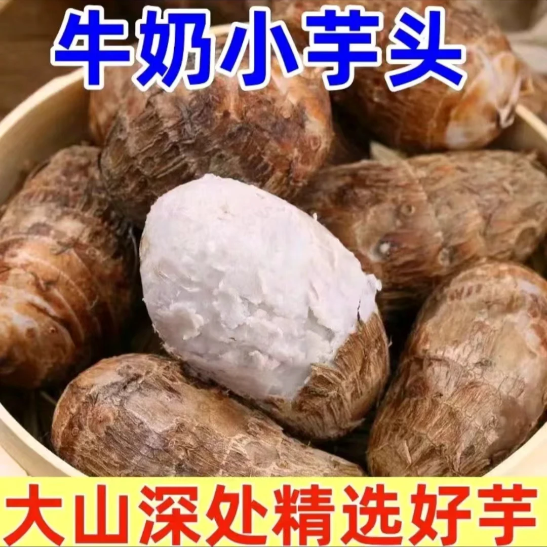 (5斤大果)牛奶毛芋头粉糯香滑云南特色产品基地直发
