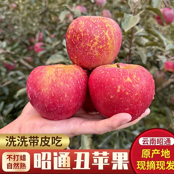 云南昭通丑红富士苹果脆甜多汁新鲜当季水果果园现摘产地4.5/9斤
