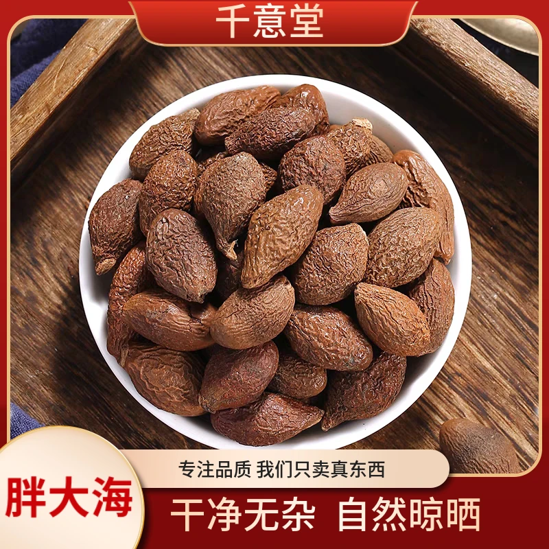 胖大海 广西胖大海颗粒饱自然晾晒满精选品质