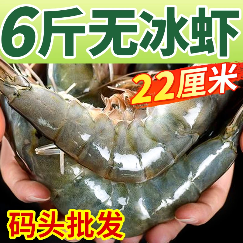白虾气冻30/40青岛大海虾净6斤排盘单冻特大青虾白虾对虾鲜活速冻