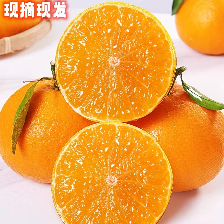 【保温箱】爱媛多汁38号果冻橙8斤手剥橙新鲜当季水果高品质