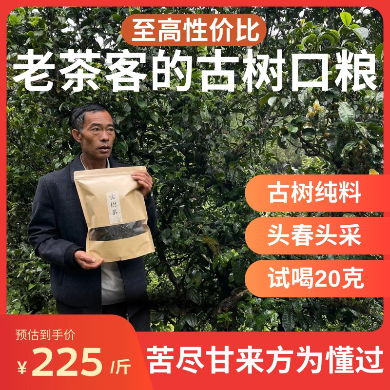 佐洱【懂过5号】2023头春勐库冰岛直销正宗古树春普洱生茶散茶500克