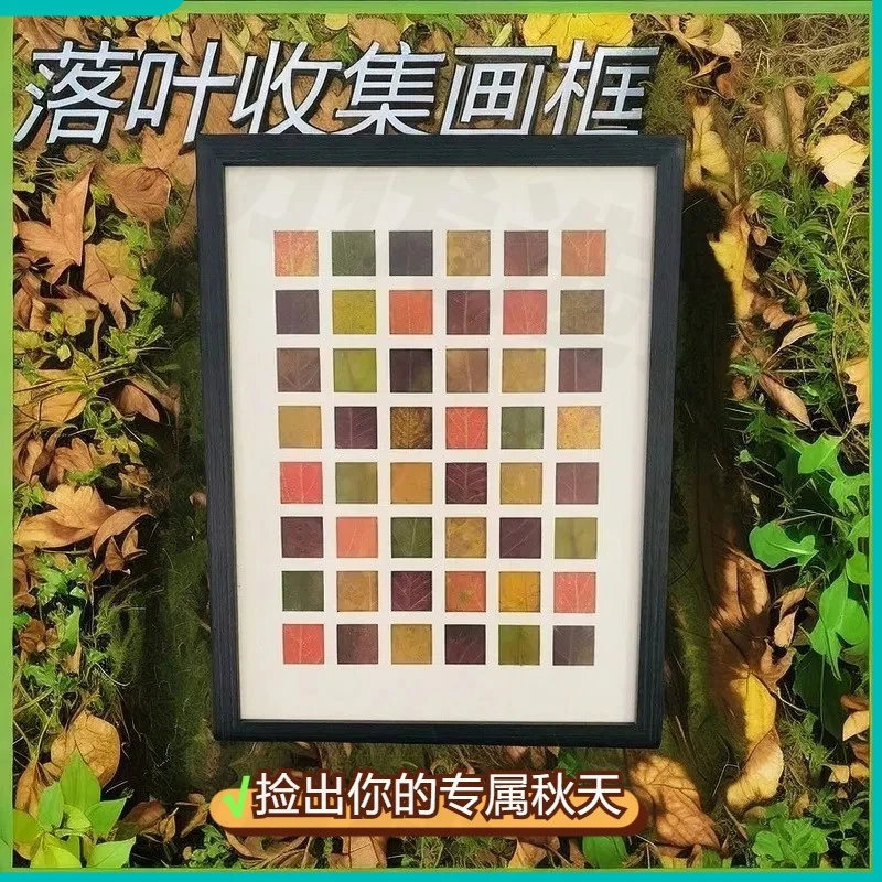 捡秋相框48宫格相框树叶贴画树叶标本相框手工diy礼物送朋友落叶