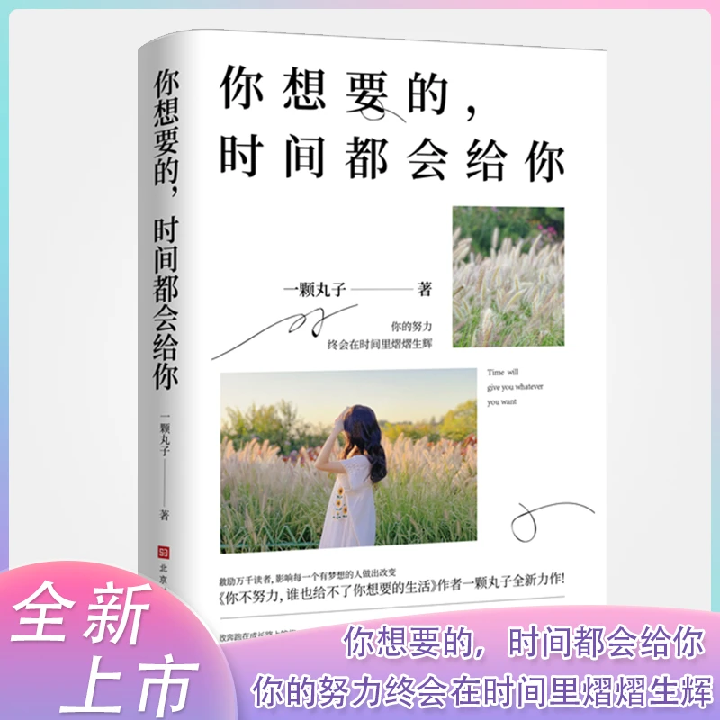 特签你想要的，时间都会给你 一颗丸子写给从少年走向励志人生的你