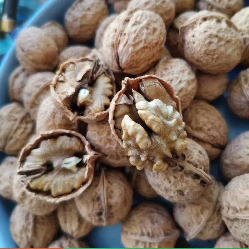 云南米甸纸皮核桃