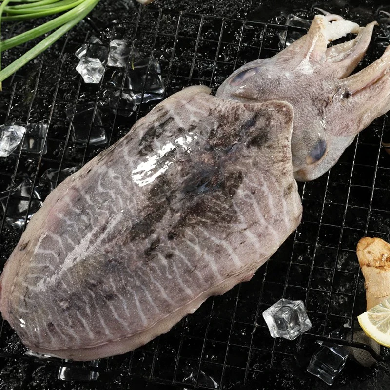 【现称】墨鱼野生大目鱼 顺丰发货