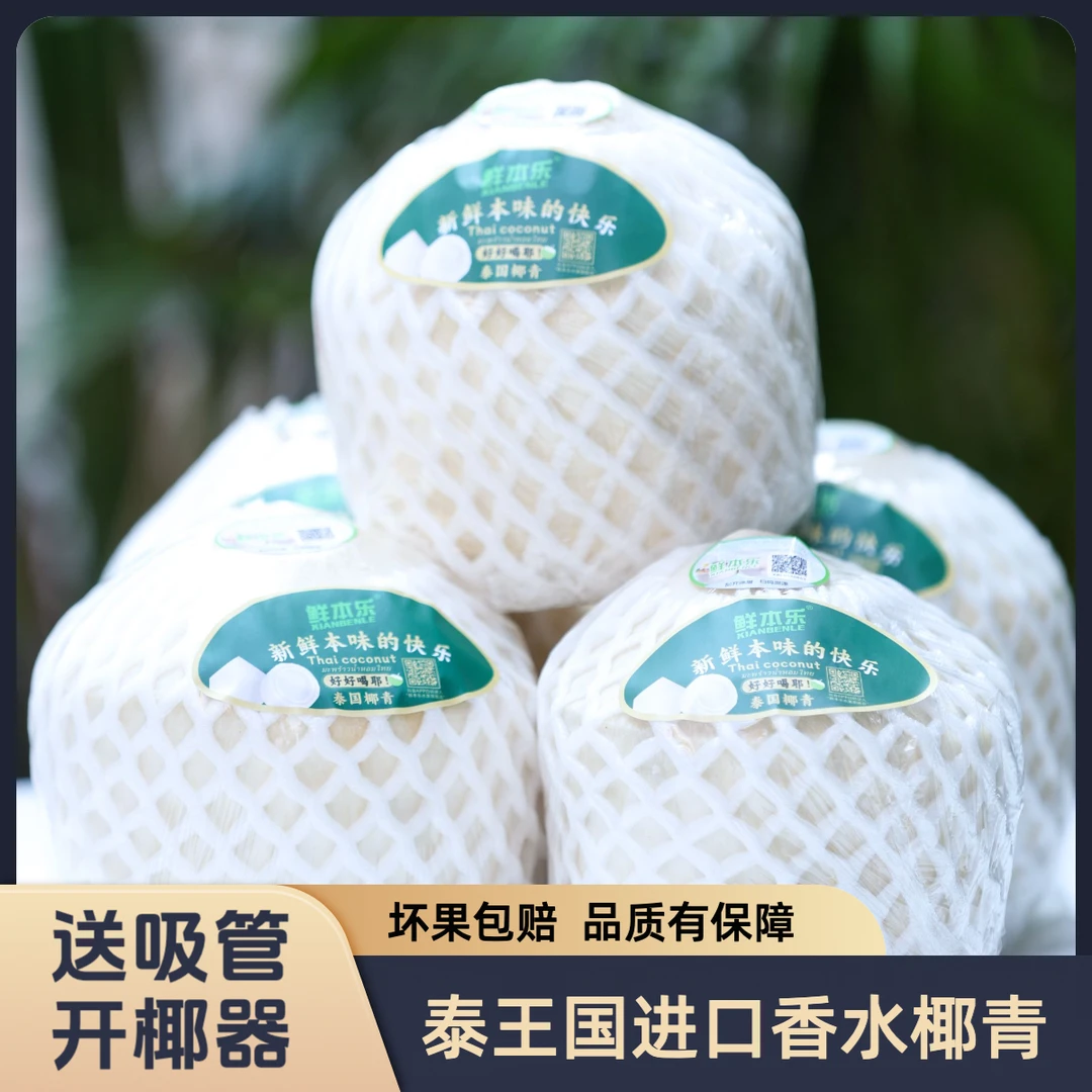【大果】鲜本乐 泰国进口椰青 单果900g起 天然电解质饮品 孕妇水