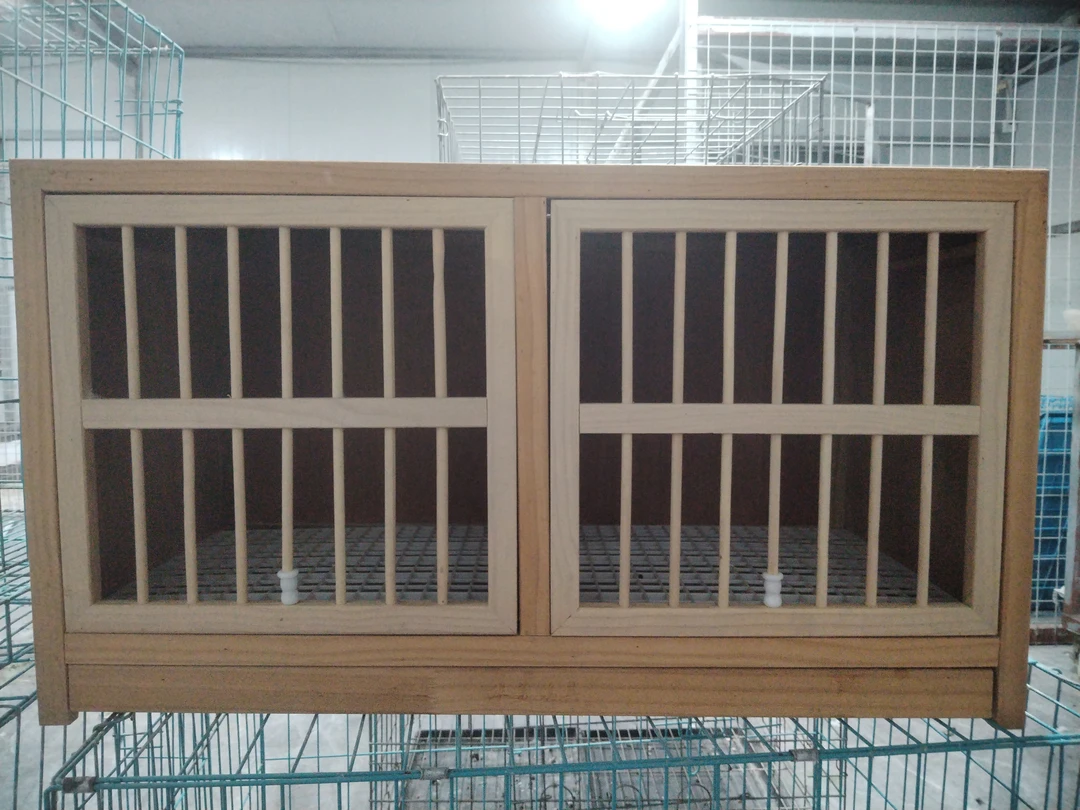 鸽子折叠笼，直播间专属