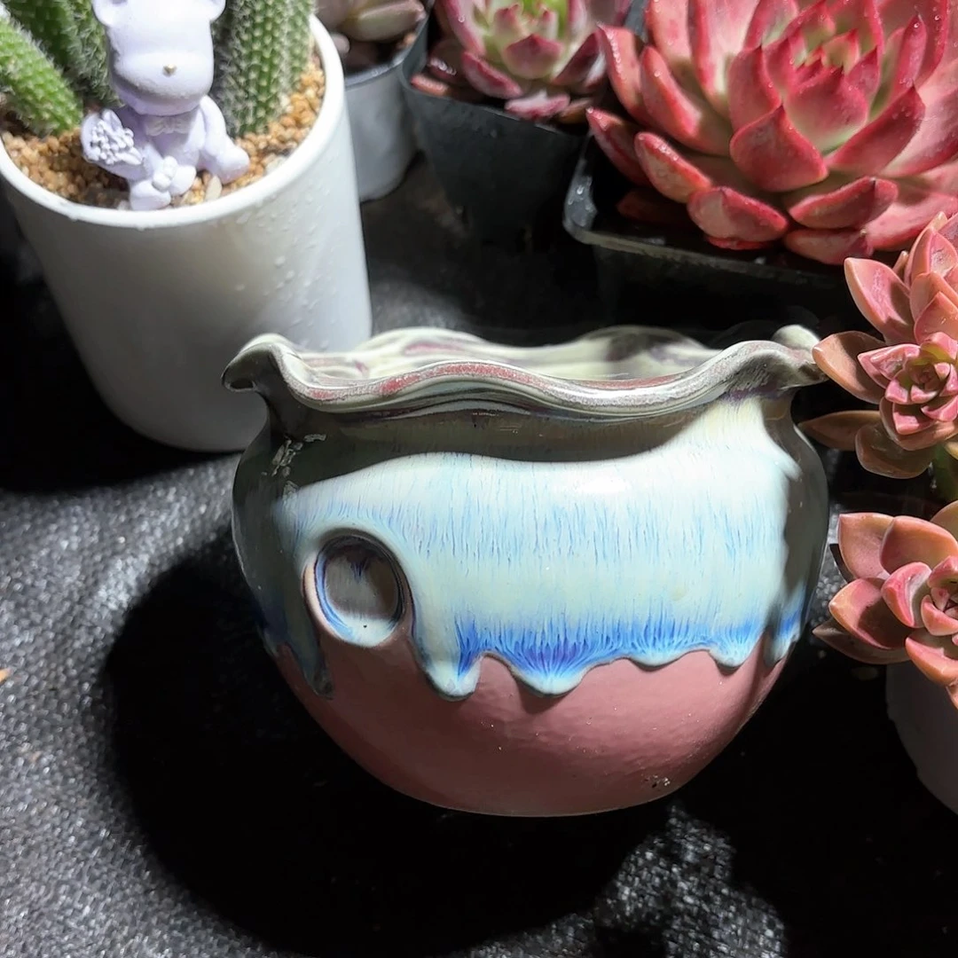 多肉花盆粉色花边圆盆